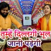 About Tumhe Dillagi Bhul Jani Padege Song